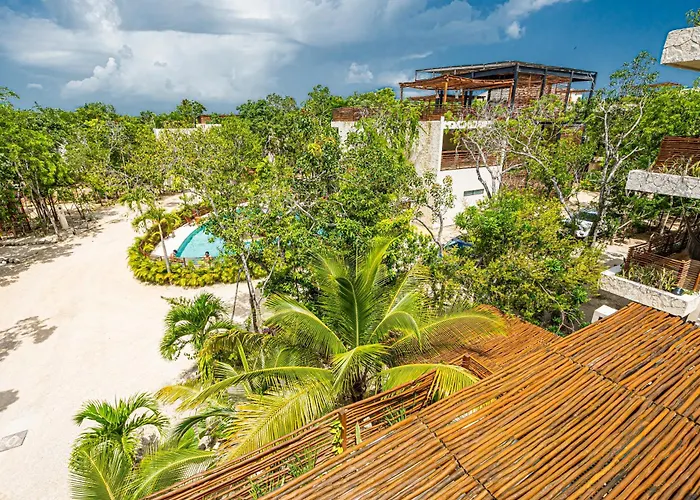 Jungle - Chakra Artbat * Tulum