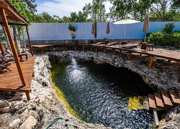 Jungle - Chakra Artbat Villa